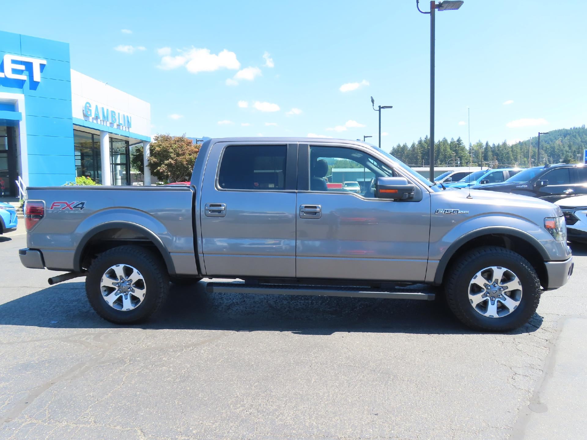 2014 Ford F-150 FX4