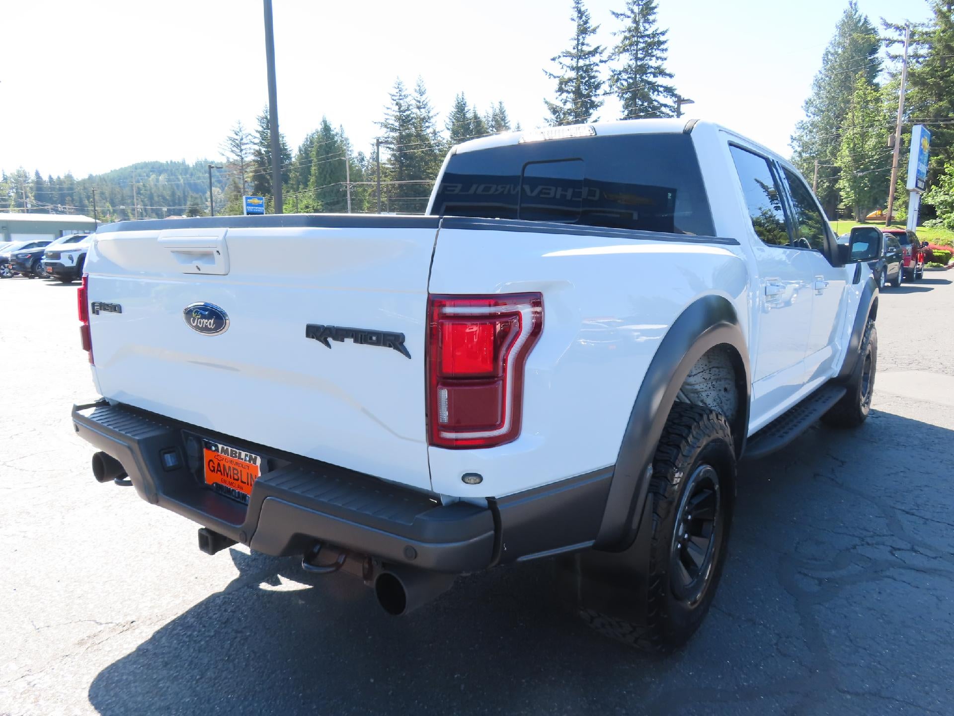 2017 Ford F-150 Raptor
