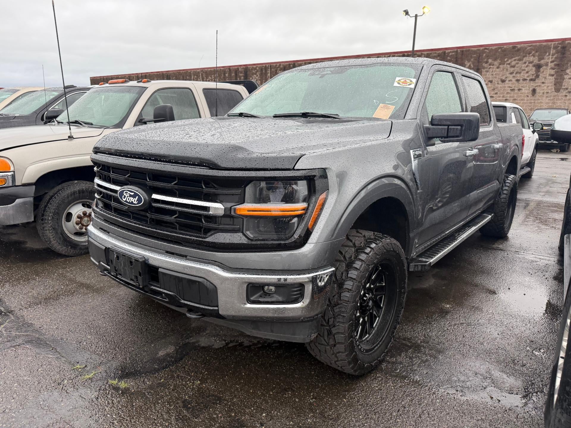 2025 Ford F-150 XLT 4x4 SuperCrew 5-1/2 Box's photo