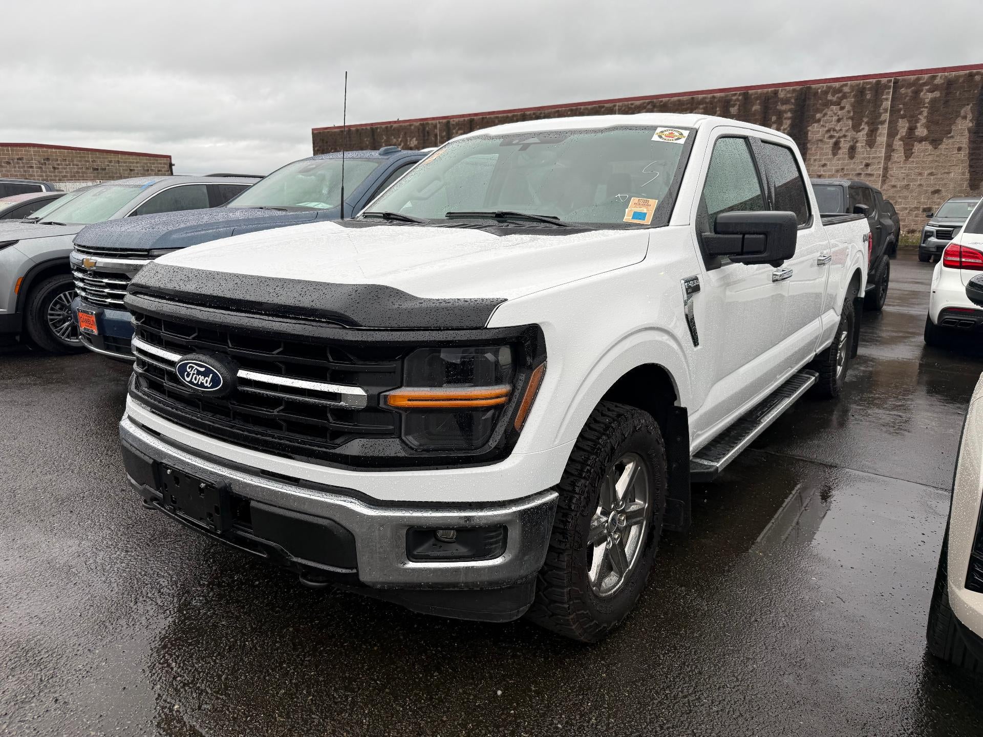 2024 Ford F-150 XLT 4x4 SuperCrew 5-1/2 Box's photo