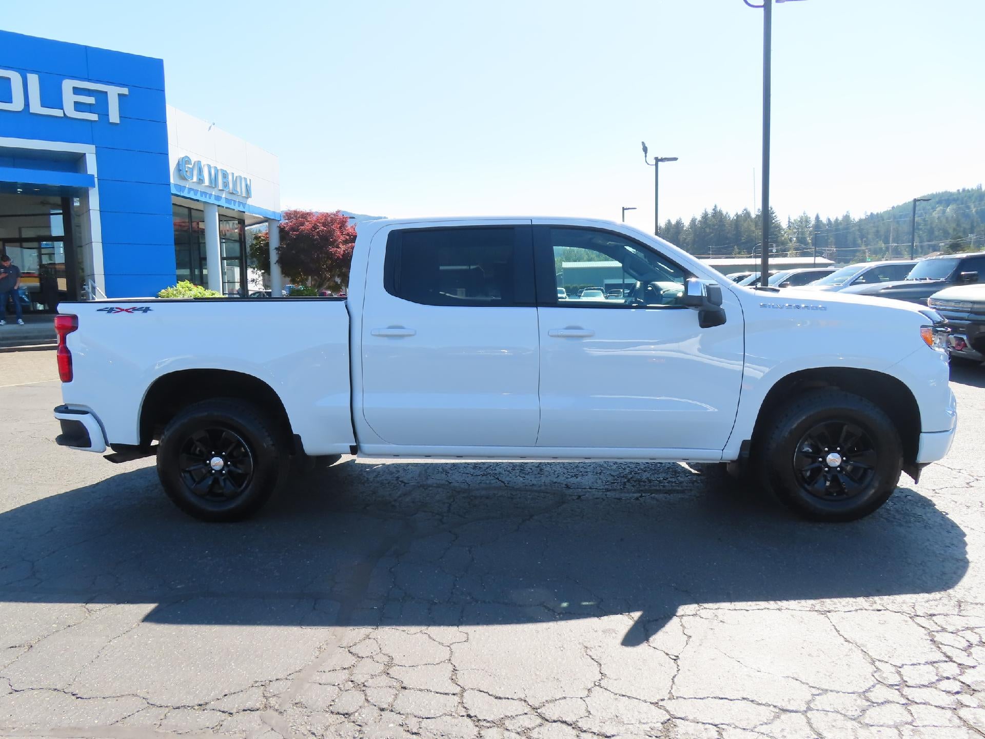 2025 Chevrolet Silverado 1500 LT