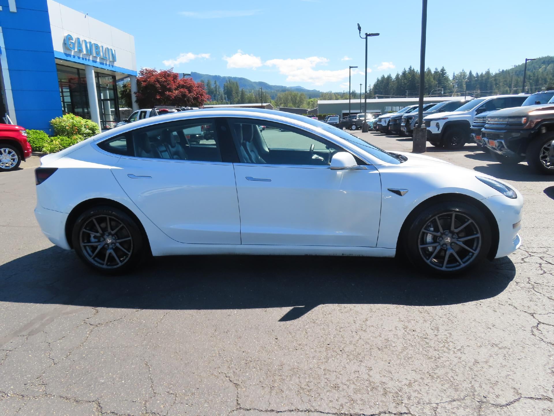2020 Tesla Model 3 Standard Range Plus