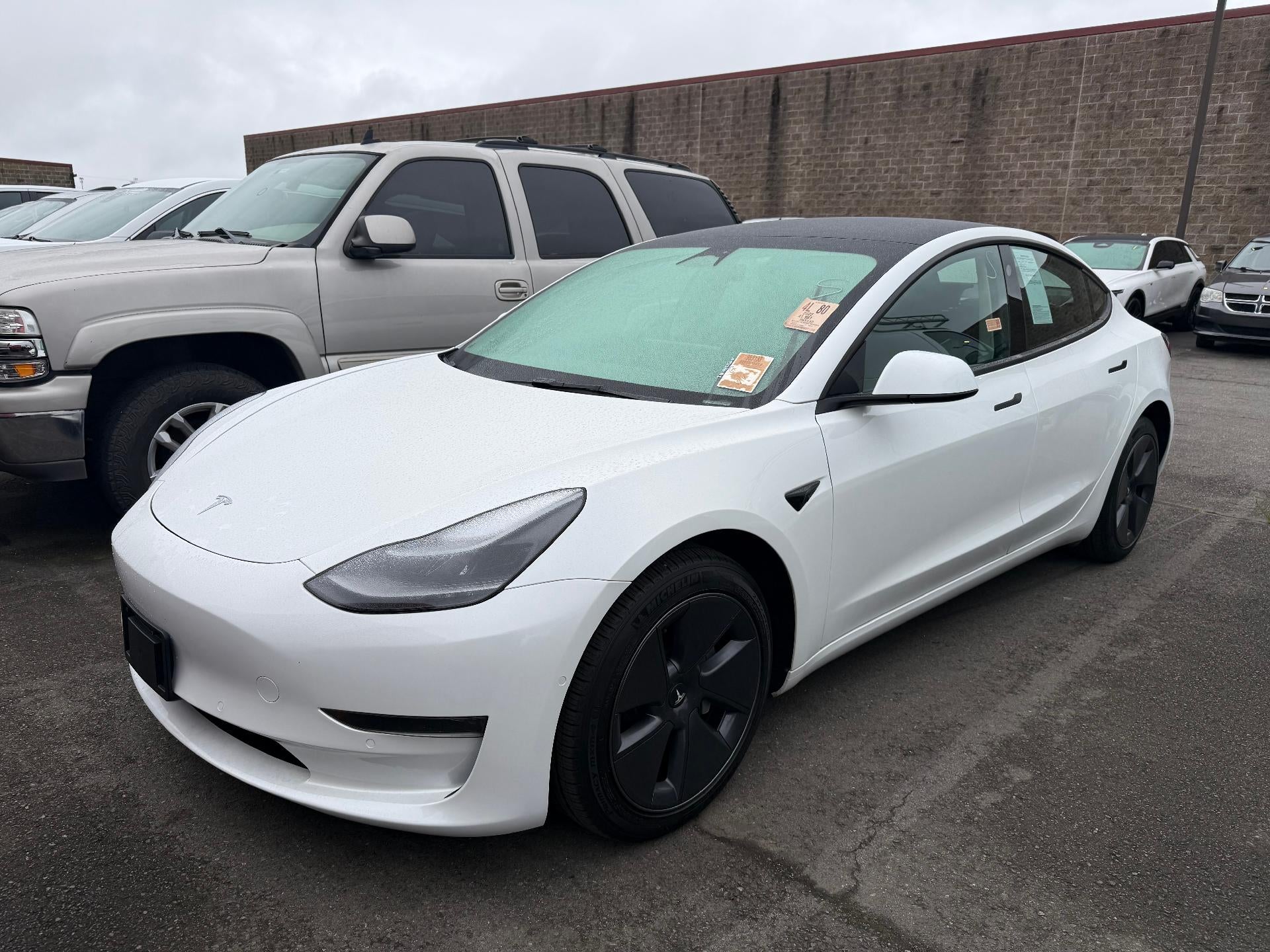 2022 Tesla Model 3 Standard Range Plus's photo