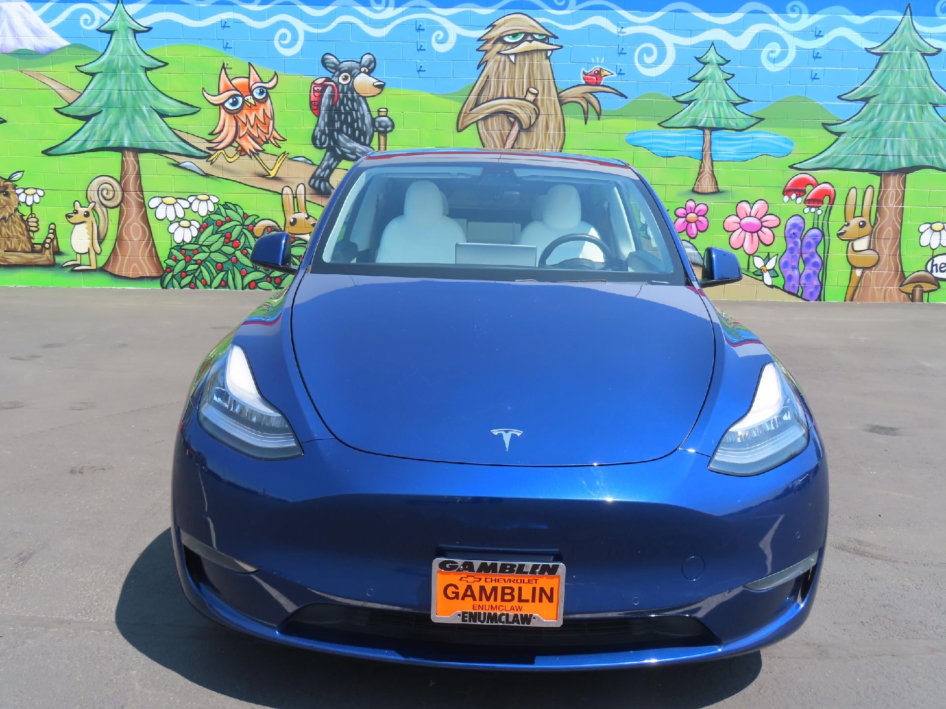 2020 Tesla Model Y Long Range